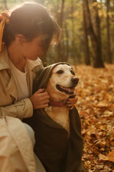 Woman wraps her labrador retriever in a green sweater in the fall forest. Affectionate moment.