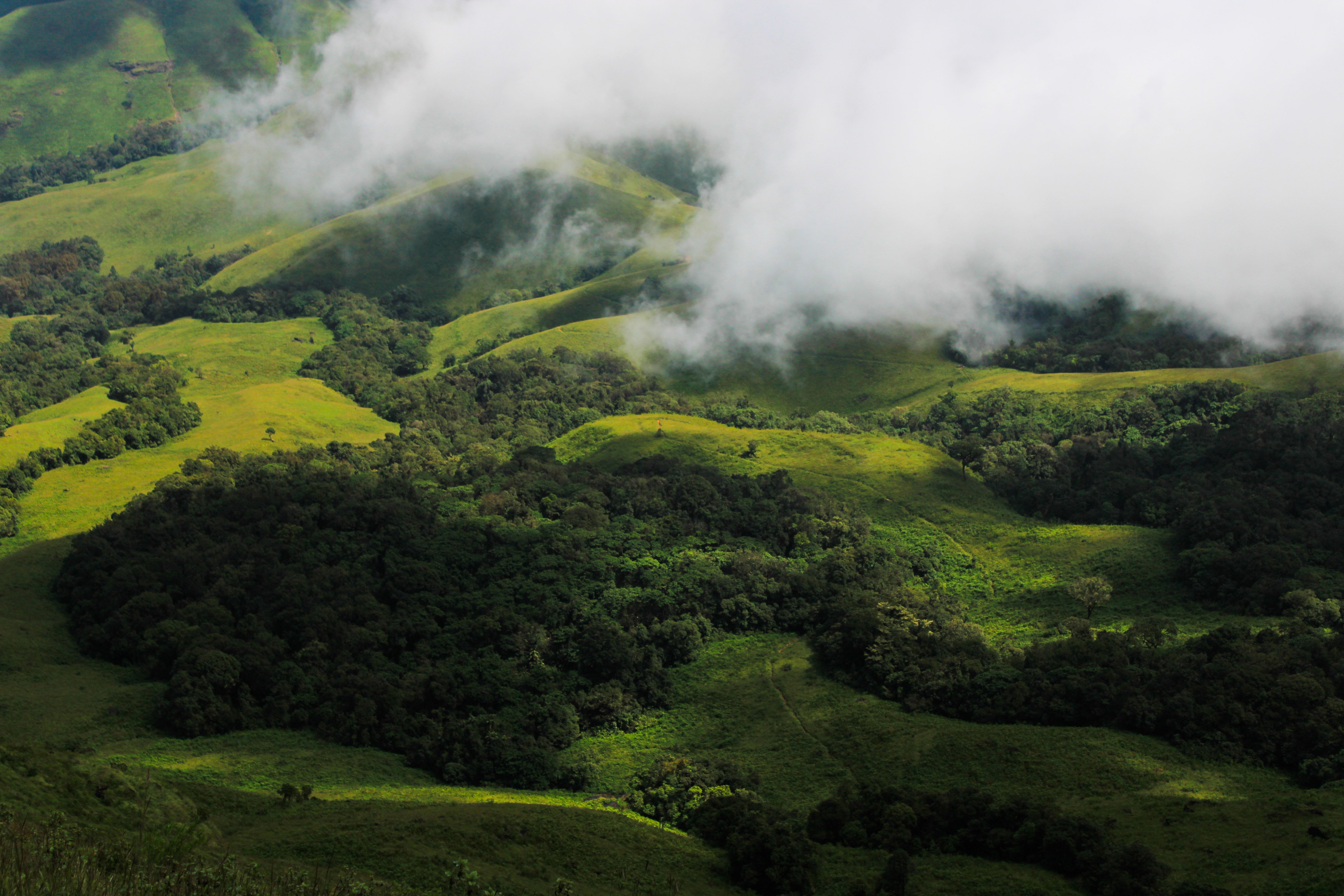 Things to Do in Chikmagalur: Attractions and Local Tips