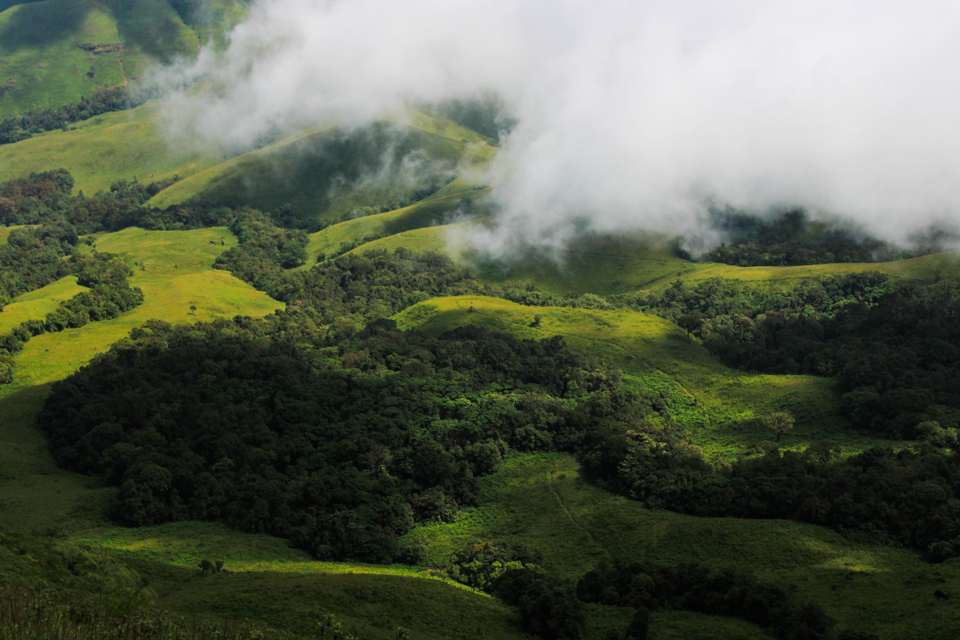 Things to Do in Chikmagalur: Attractions and Local Tips
