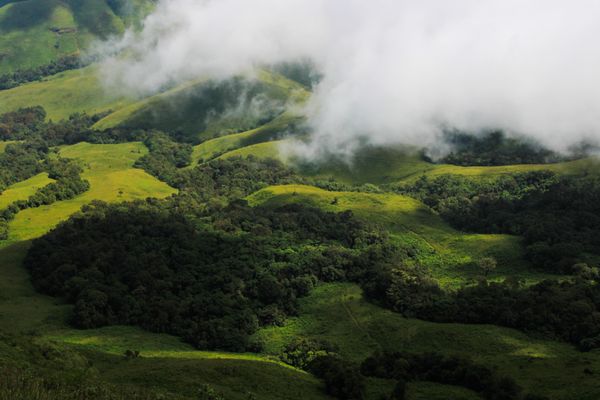 Coorg - Ooty - "The Scotland of India" - Stays