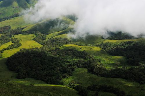Free A scenic view of green hills covered with fog, creating a peaceful countryside setting. Stock Photo