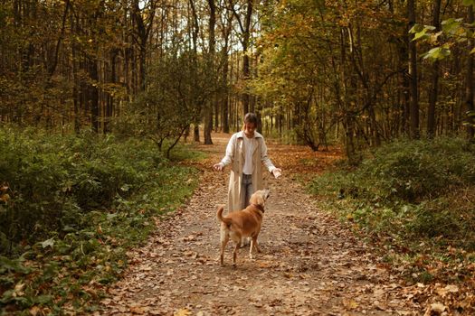 A Labrador Retriever Dog Following the Woman 