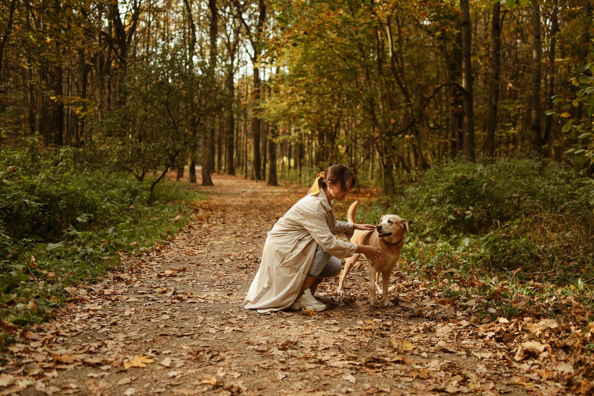 Woman in Beige Trench Coat Touching Her Pet