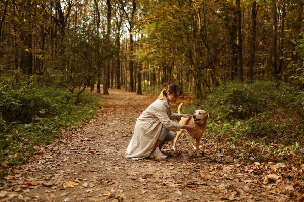 Pet Day Care Services in Blackheath