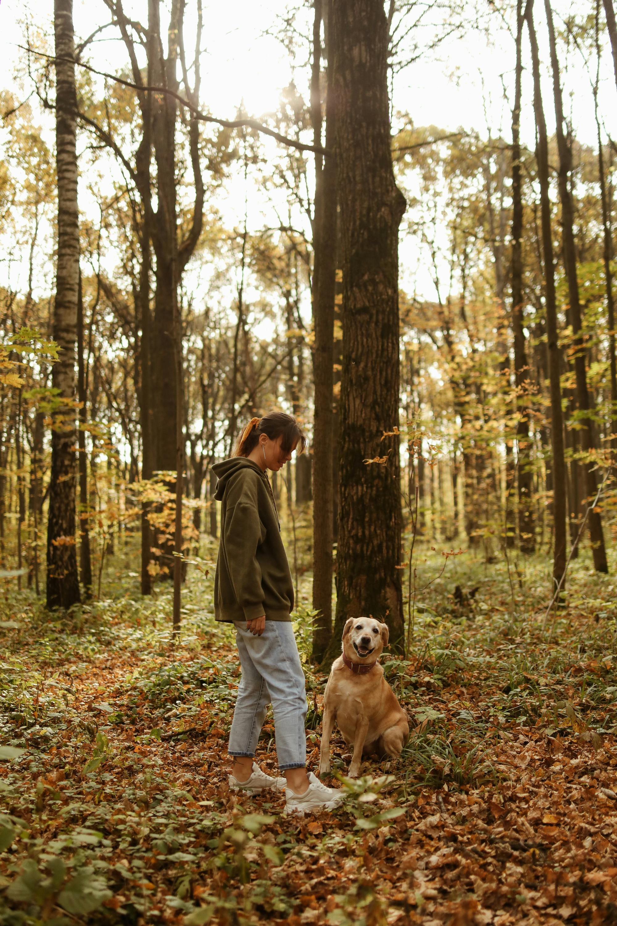 一位女士在宁静的秋日森林里遛狗，捕捉着户外冒险的精髓
