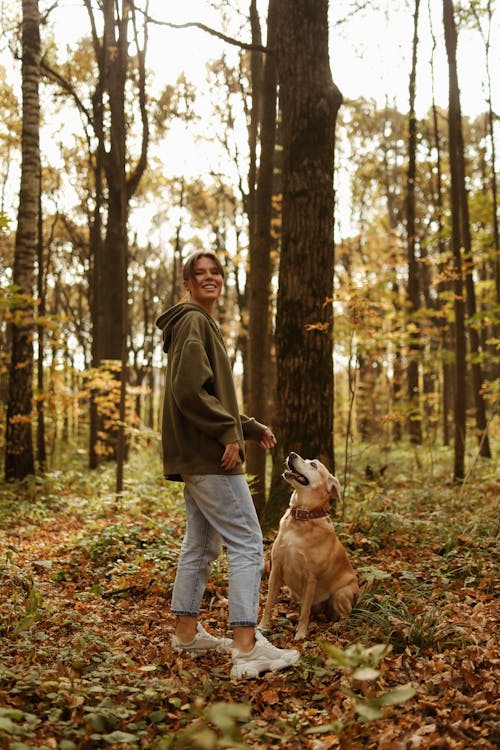 Immagine gratuita di animale domestico, boschi, cane