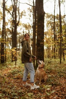 一名妇女牵着她的拉布拉多猎犬，穿过一片金色树叶环绕的、充满活力的秋季森林