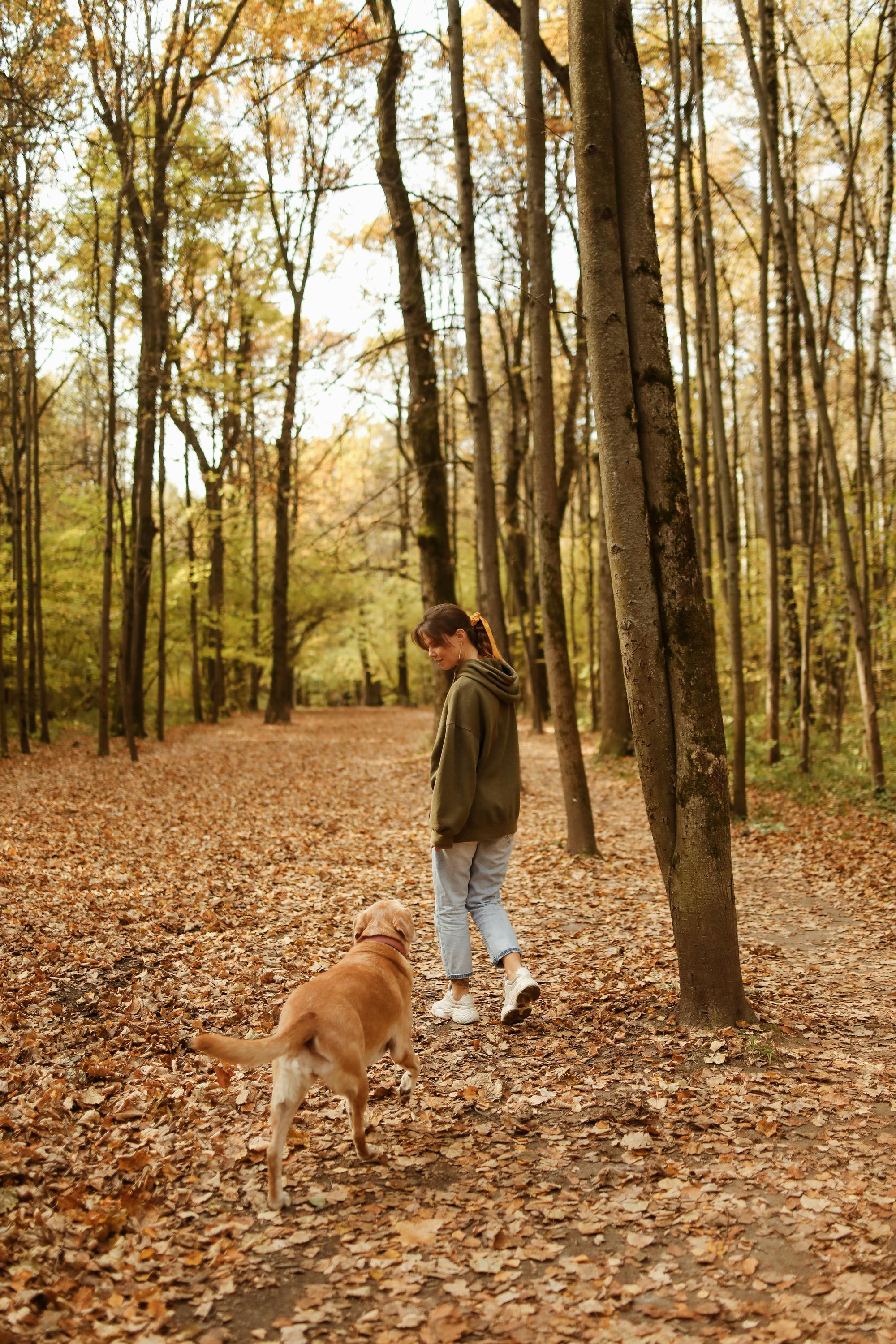 woman in green sweater and blue denim jeans walking her dog in the forest