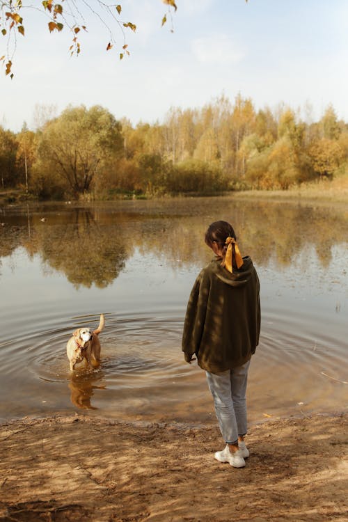 Free Person Looking at the Dog in the Lake  Stock Photo