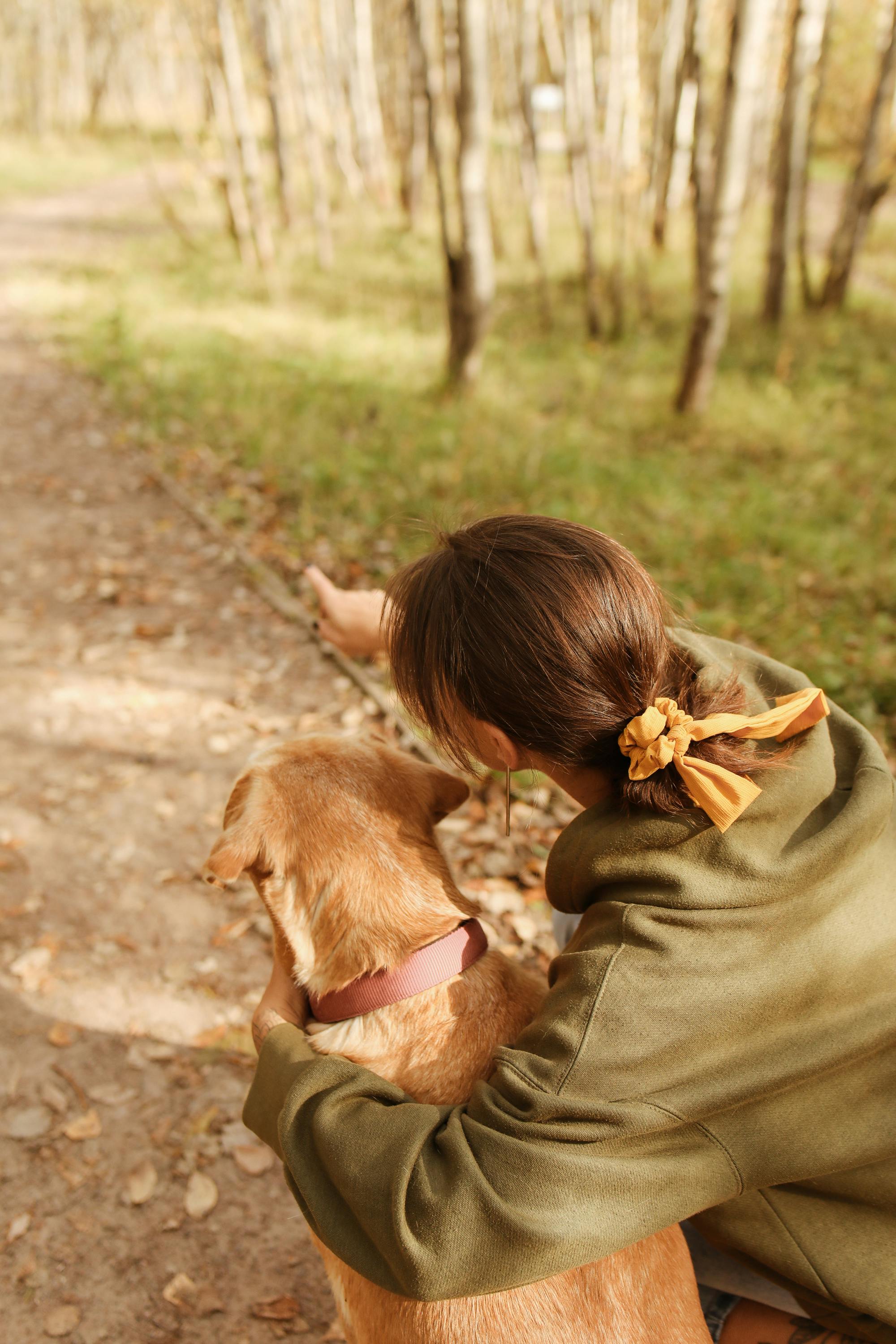 A woman and her dog enjoy a walk in a forest during autumn.
