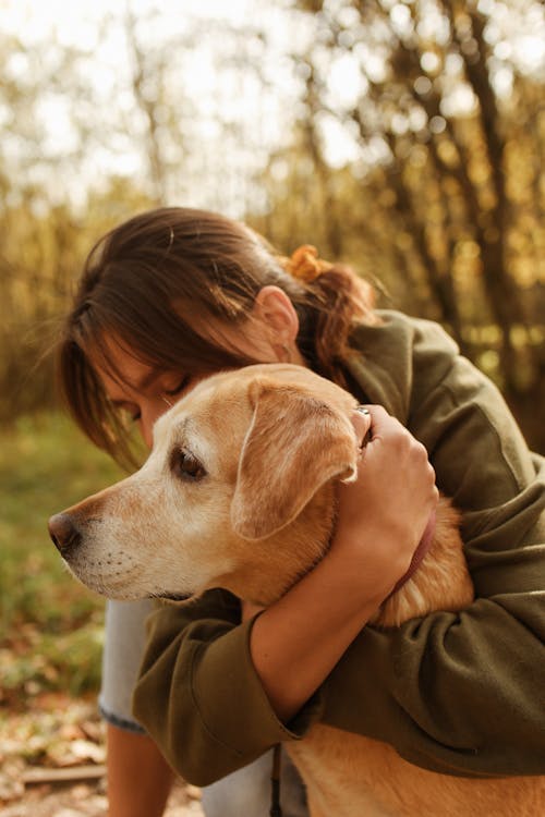 Free Woman Embracing the Labrador Retriever Dog Tightly  Stock Photo