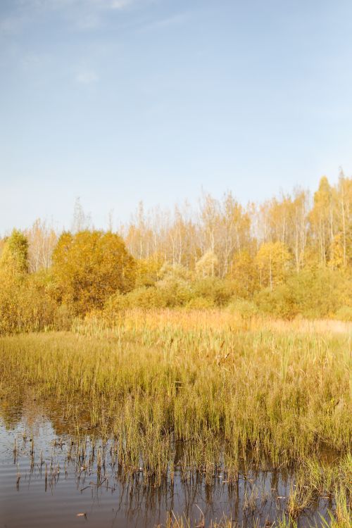 Free Tranquil autumn scene featuring a reflective lake and vibrant fall foliage under a clear sky. Stock Photo