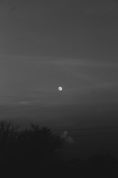 Grayscale Photo of a Full Moon from a Distance