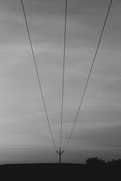 Grayscale Photo of Electrical Lines