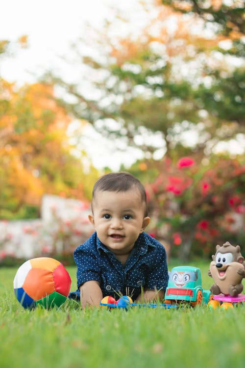 Free Full body smiling toddler boy sitting on grassy lawn in autumn garden near colorful toys and looking at camera Stock Photo