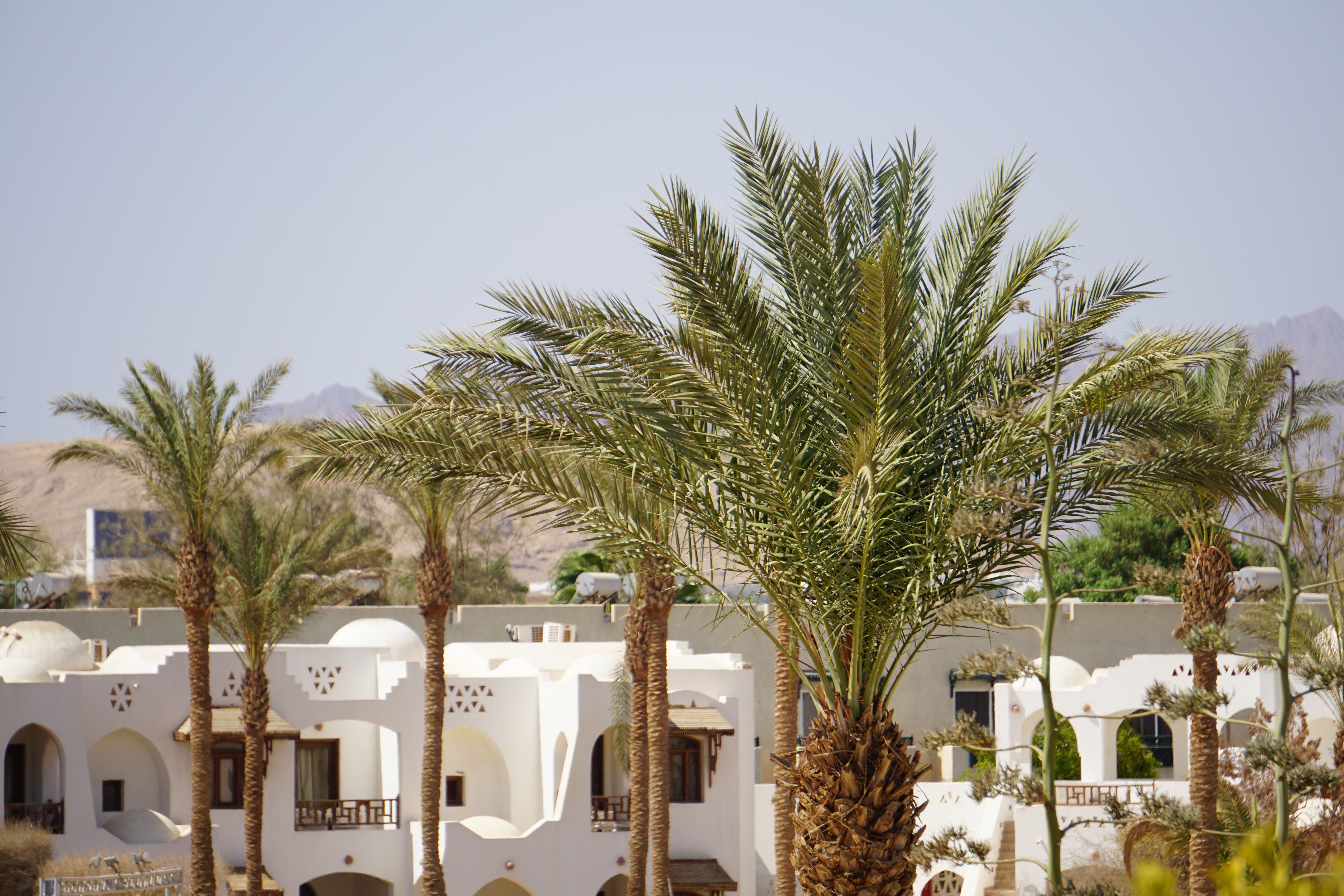 Desert architecture