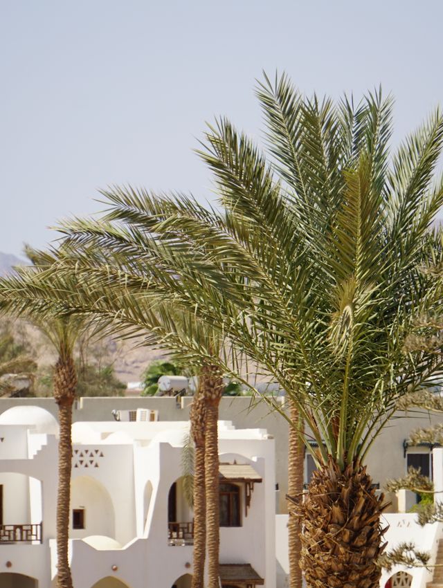 Desert architecture