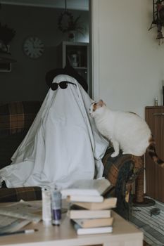 一只猫好奇地观察着一位穿着幽灵服装的人，在舒适的家庭环境中营造出有趣的场景