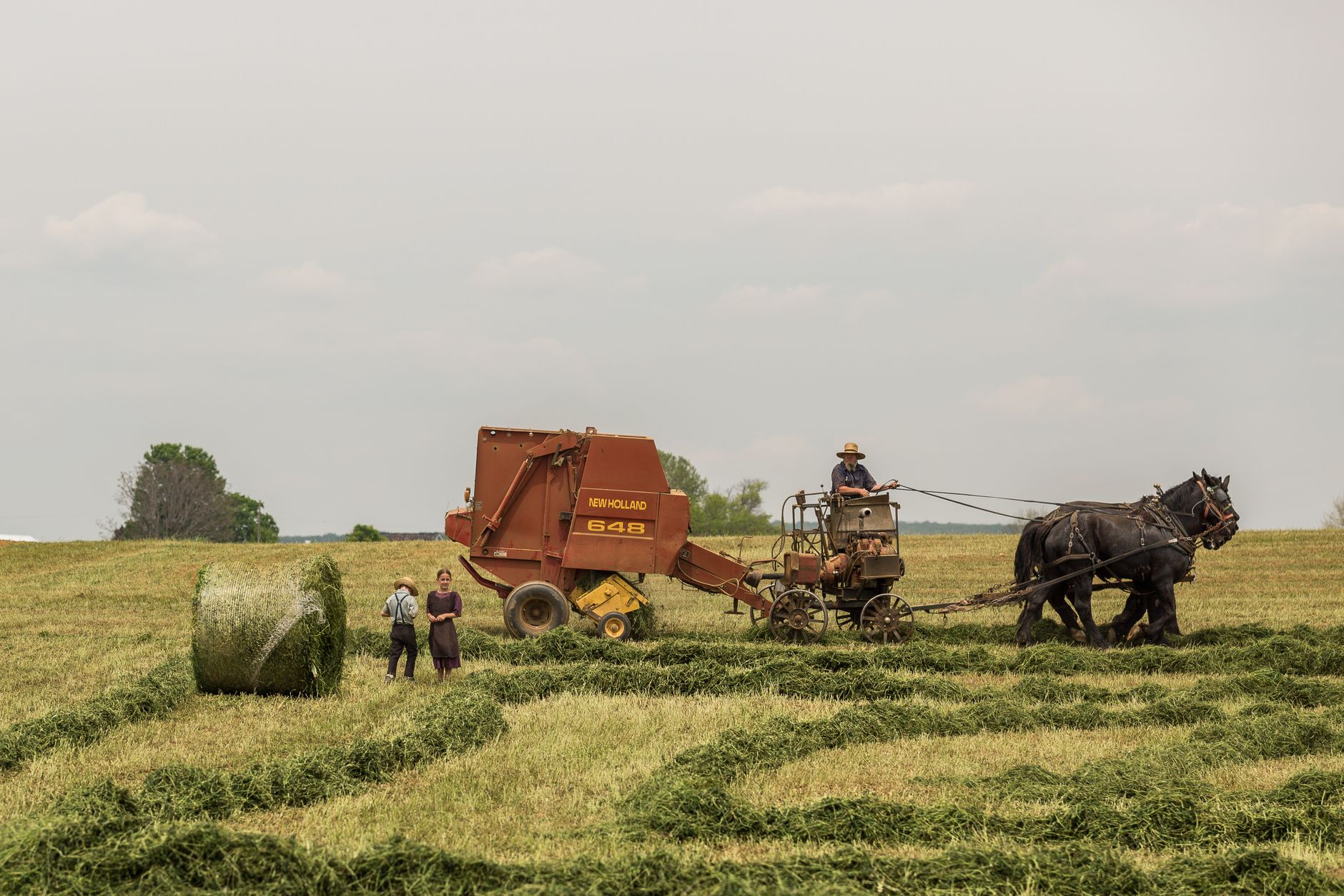 Amish farmers use a horse-drawn baler in a hay field in Lancaster, PA.