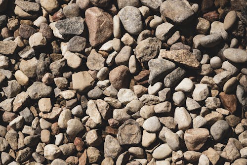 Free stock photo of background, beach, brown