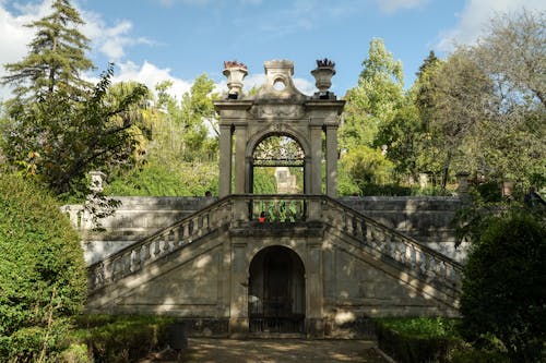 Darmowe zdjęcie z galerii z chodzić, coimbra, drzewa