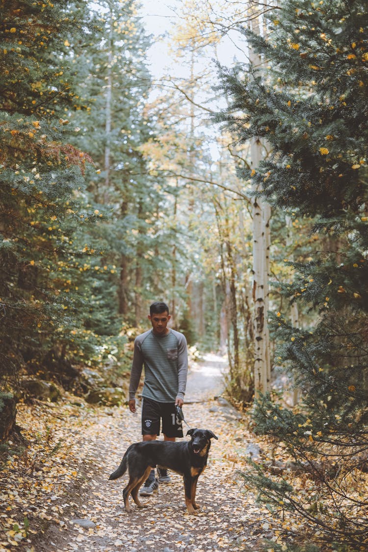 Ethnic Man With Black Dog Walking In Autumn Forest