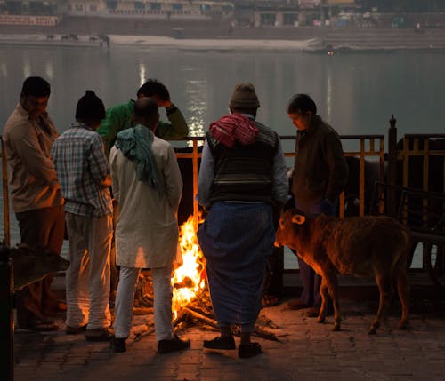 คลังภาพถ่ายฟรี ของ reshikesh, อินเดีย, แม่น้ำ ganga