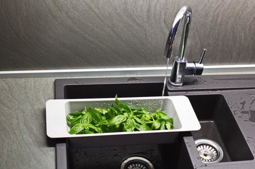 Free From above of white sink colander full of green basil leaves in flow of water Stock Photo