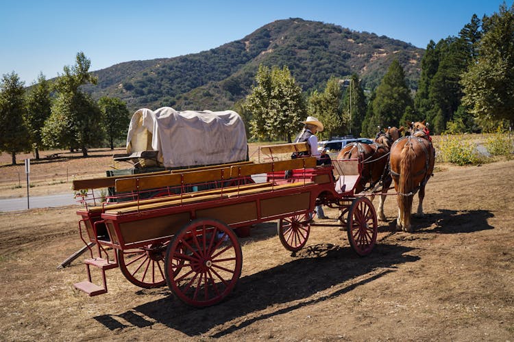 Horse Drawn Carriage