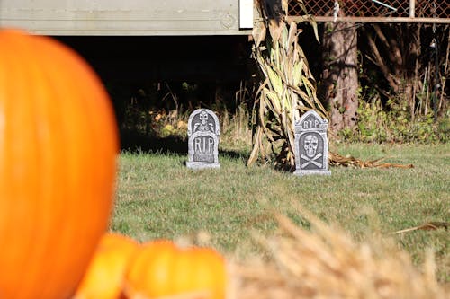 Halloween Decorations on on the Grass