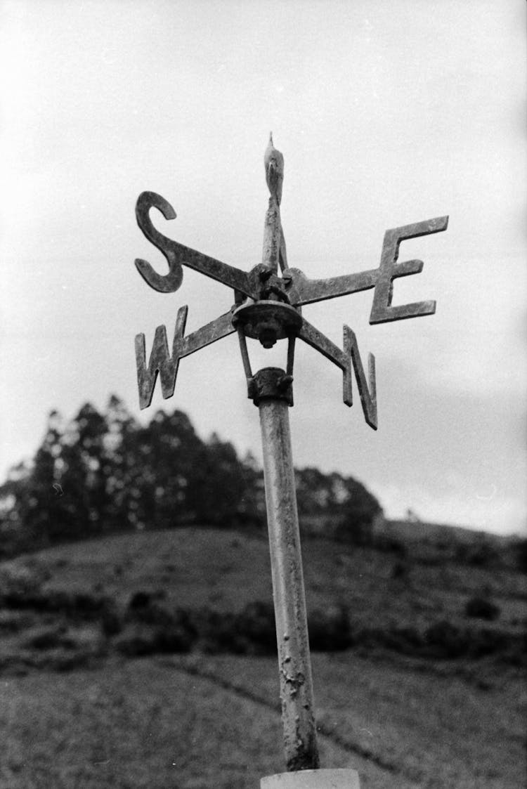 Weathercock With Four Winds In Countryside