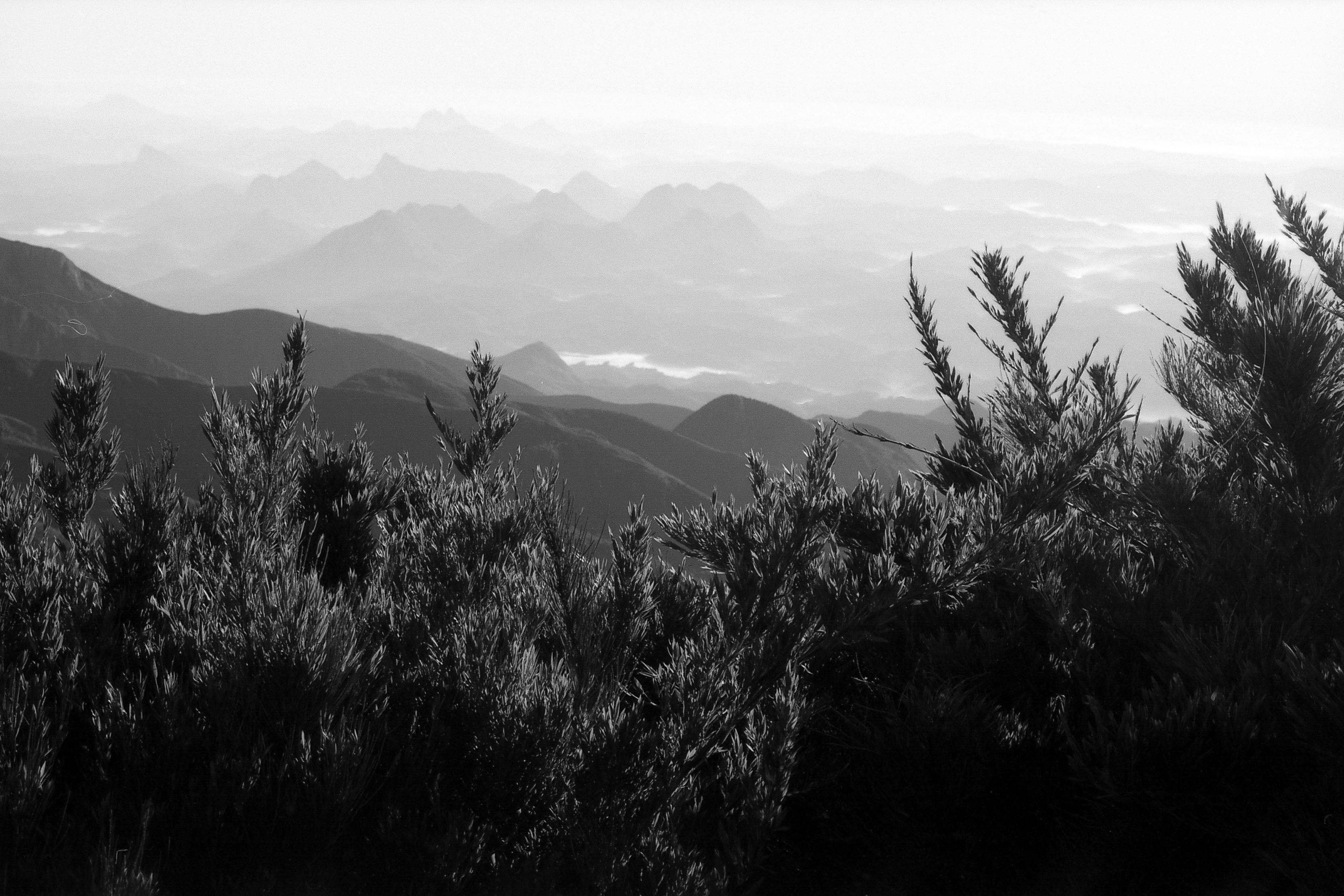 valley with mountain ridge in mist