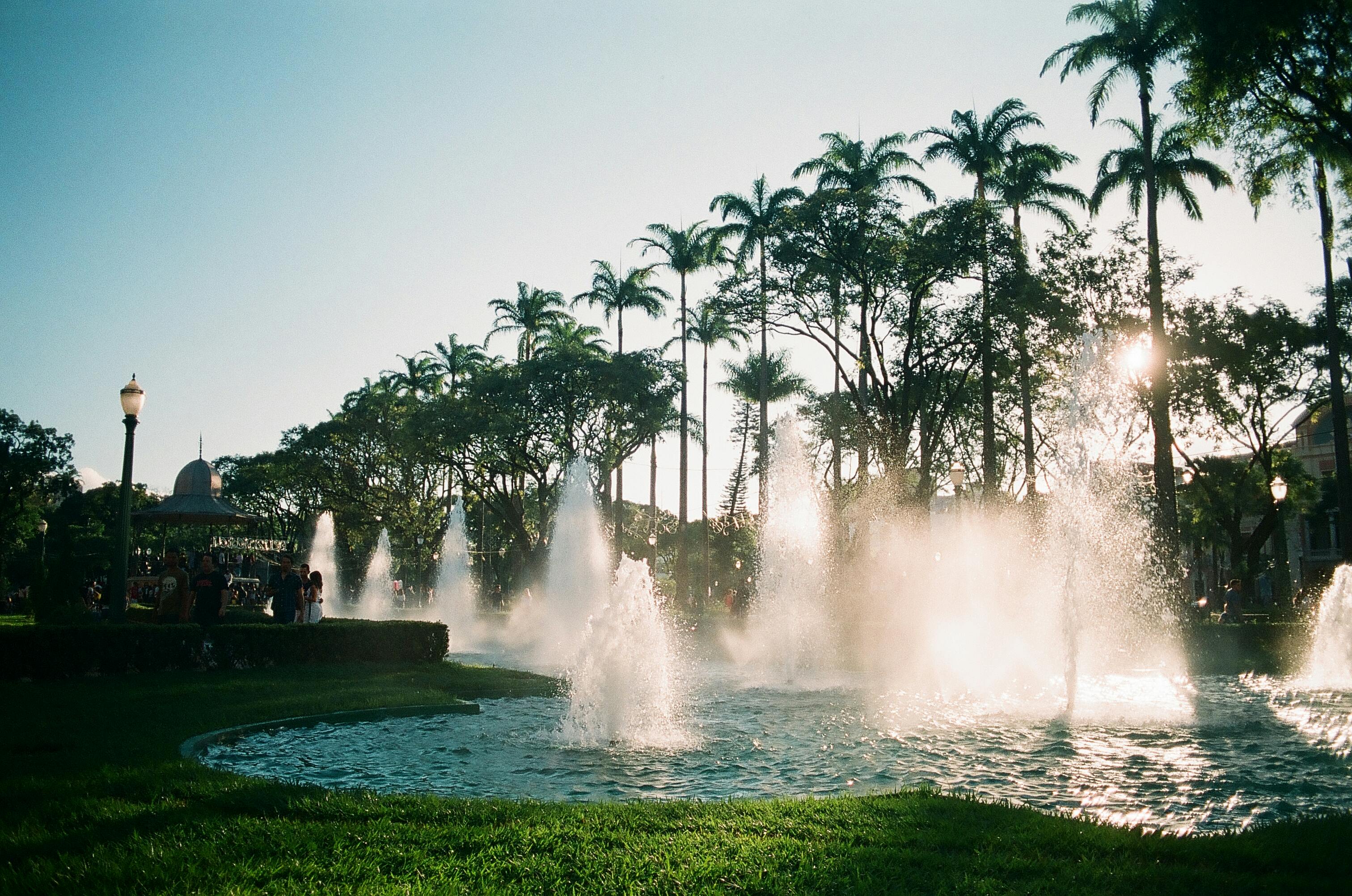 Exotic majestic garden with splashing water in fountains against row of tropical palms in sunlight