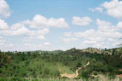 Green Grass Field Under Blue Sky