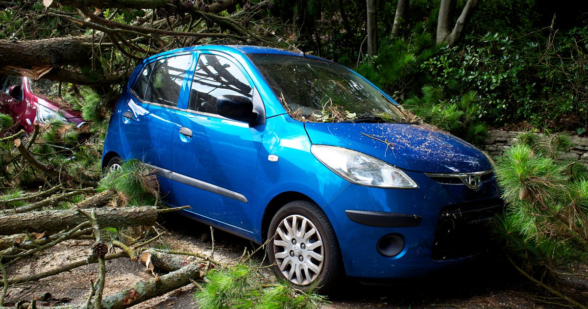 How No Win No Fee Solicitors Charge for Road Traffic Accident Claims — A blue car trapped under fallen trees in a post-storm scene in the UK.