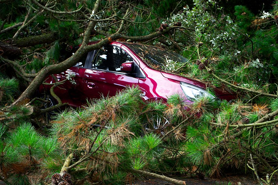 car damaged by a fallen tree branch during a storm - auto insurance coverage car damaged by a fallen tree branch during a storm - auto insurance coverage