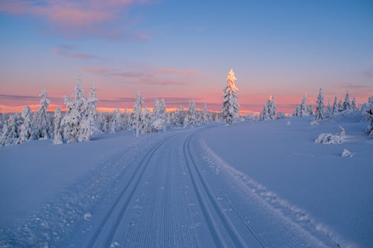 Peaceful winter landscape with snow-covered trees and a sunset sky.