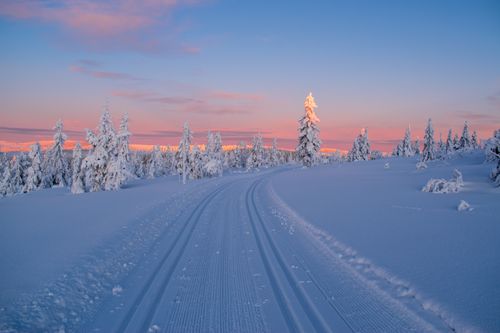 Free Peaceful winter landscape with snow-covered trees and a sunset sky. Stock Photo