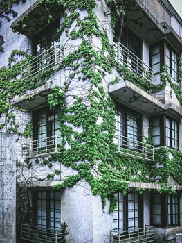 东京一座被藤蔓覆盖的建筑外观，展现了城市建筑与自然的和谐交融