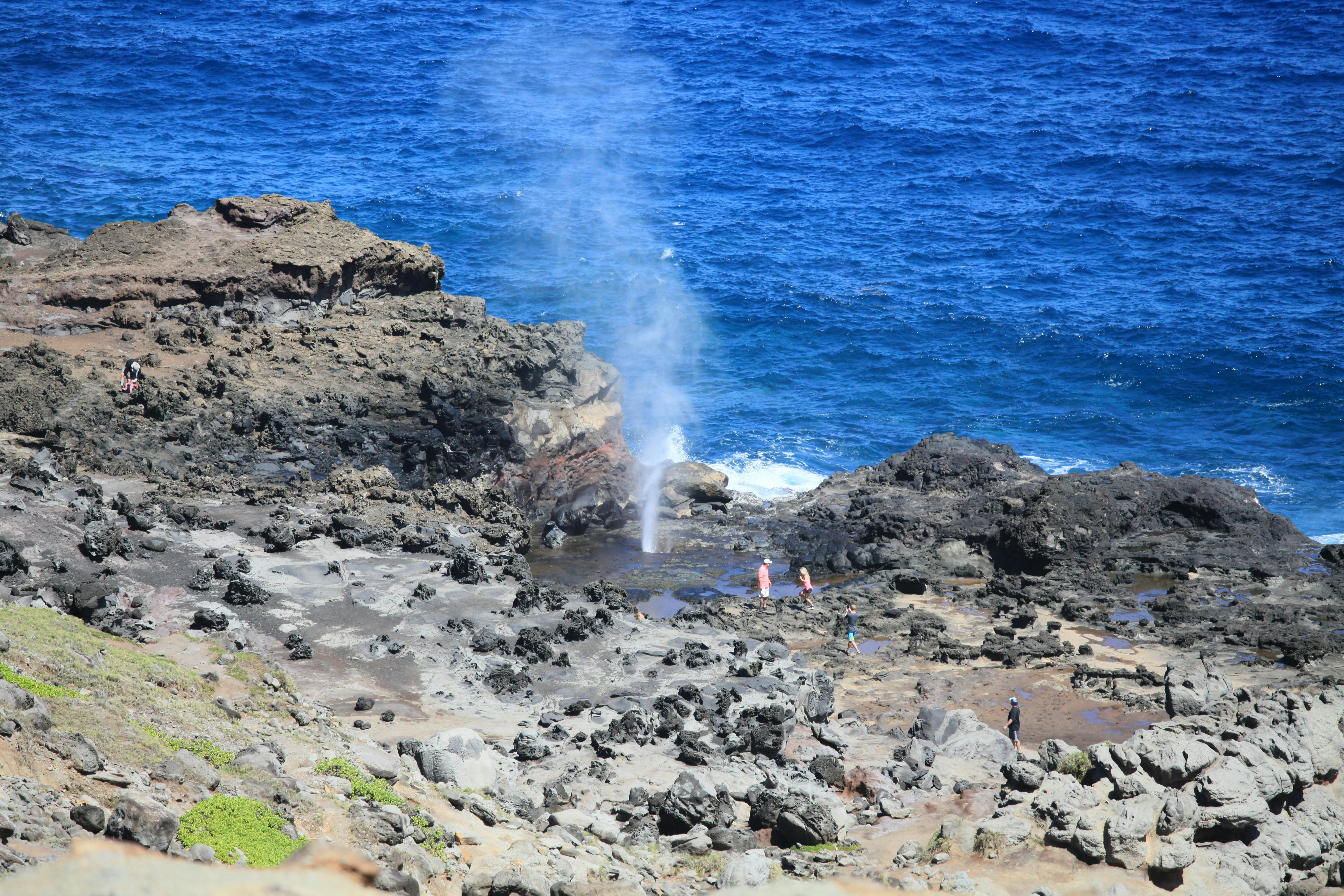 Free stock photo of hawaii, maui
