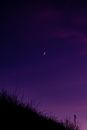 Green Grass Under Purple Sky