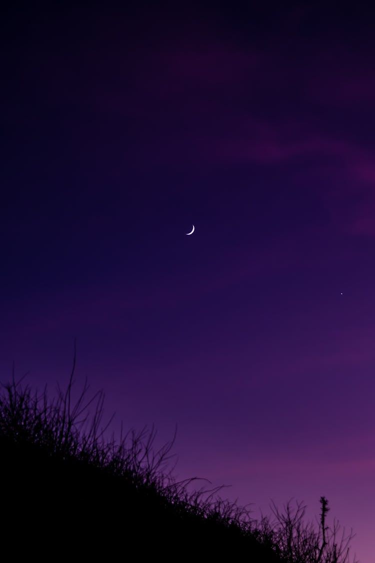 Moon In Violet Night Sky