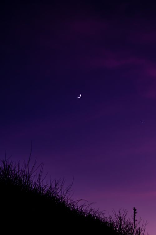 Free A crescent moon in a violet night sky with silhouetted grass in the foreground. Stock Photo
