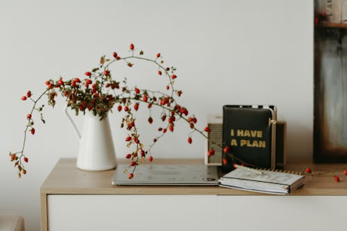 무료 흰색 세라믹 꽃병에 녹색과 빨간색 식물 스톡 사진