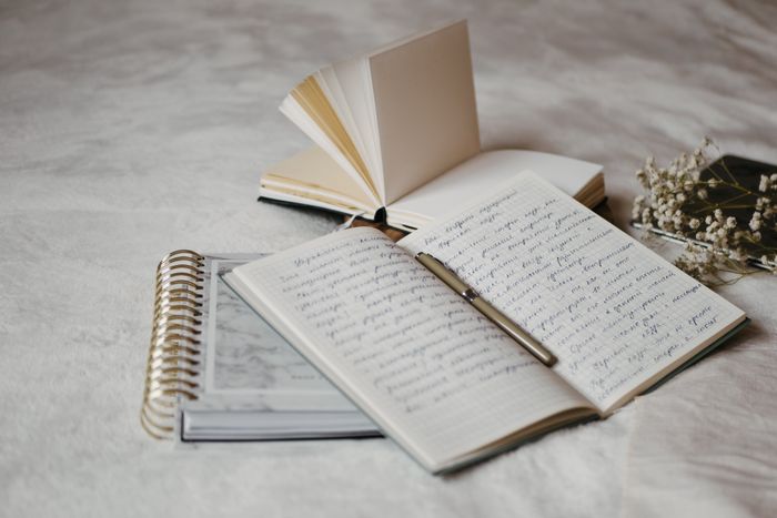 Journals and pen on soft bedding
