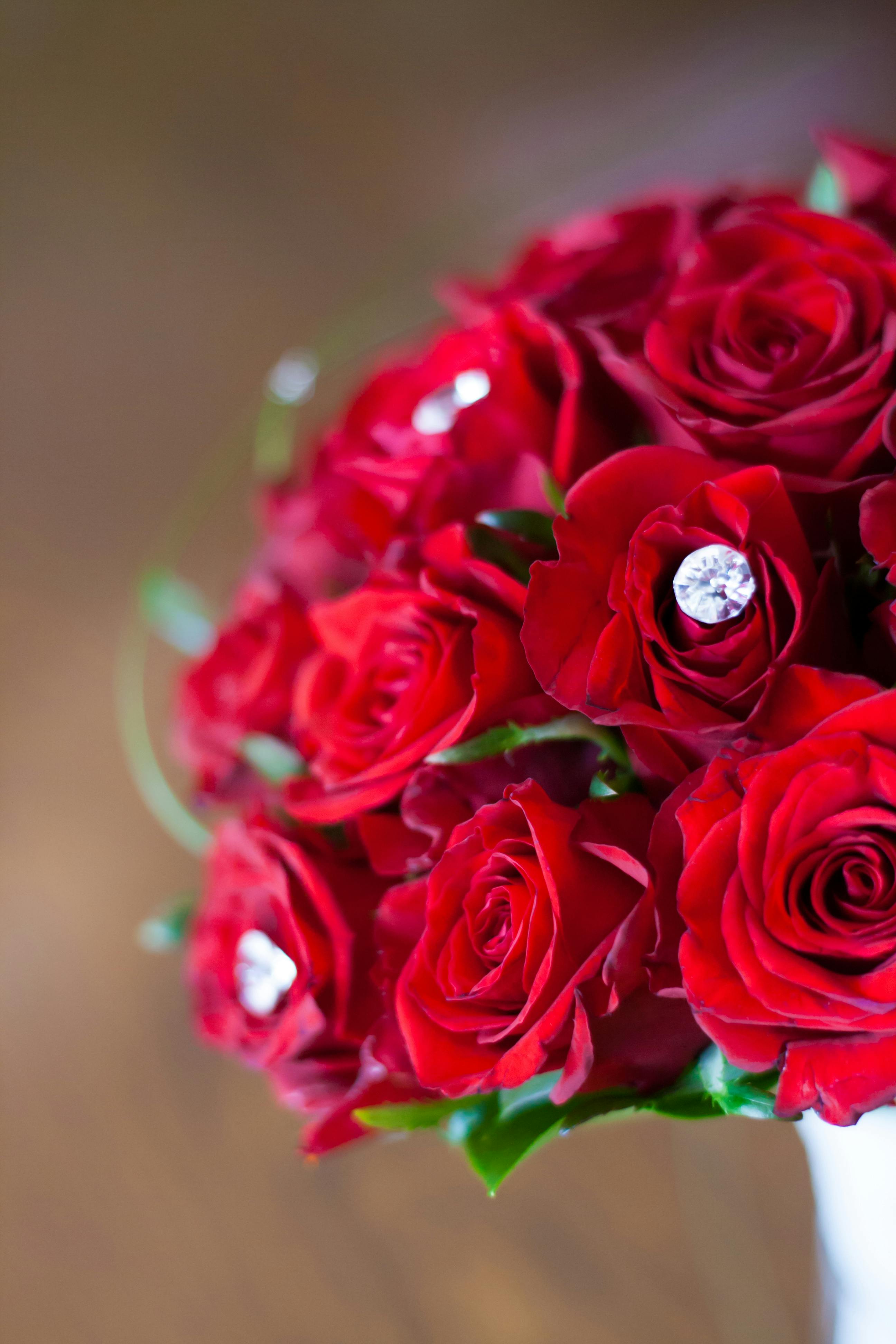 Red roses: bridal bouquet \u00b7 Free Stock Photo