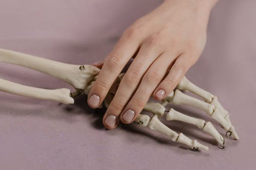 Hand Touching Skeleton Bones