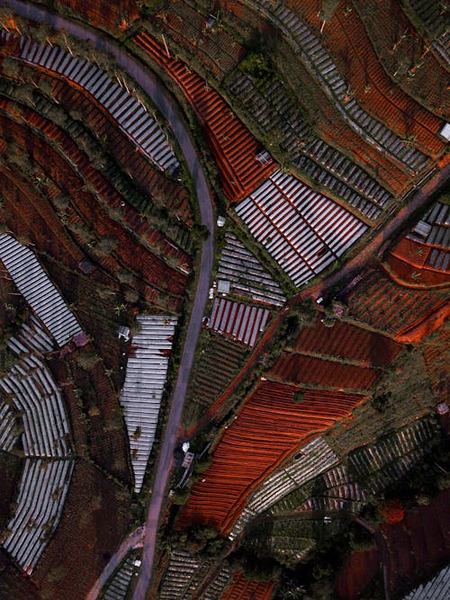 Foto profissional grátis de aerofotografia, agricultura, áreas