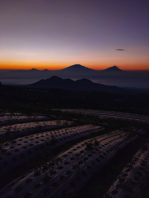 Foto profissional grátis de alvorecer, cair da noite, cênico