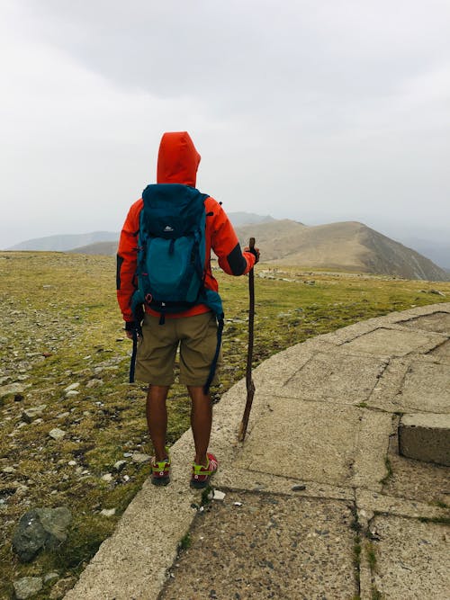 Foto stok gratis backpacker, gunung, hiker
